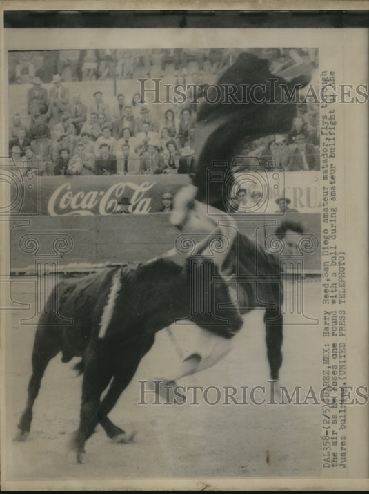 1952 Press Photo Juarez, Mexico Harry reed , amateur matador throw by bull - Historic Images