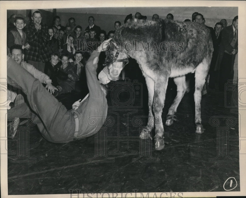 1946 Press Photo Rex Thomason of Ritzville, Wash, playing donkey basketball - Historic Images