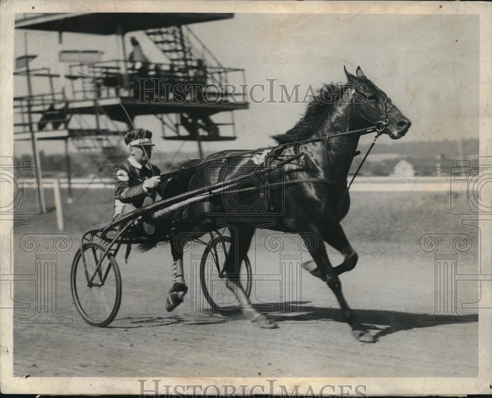 1934 Press Photo Leadig Contender for rich Hambletonian Stake - nes12476 - Historic Images