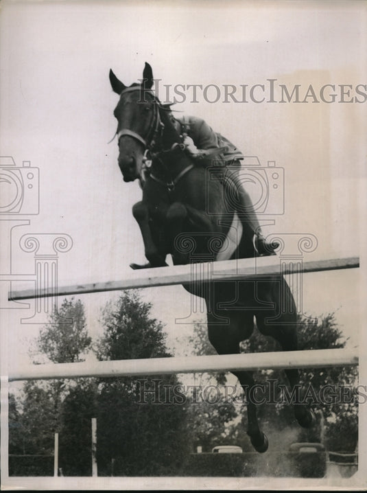 1936 Press Photo Horse show & exhibition - Historic Images