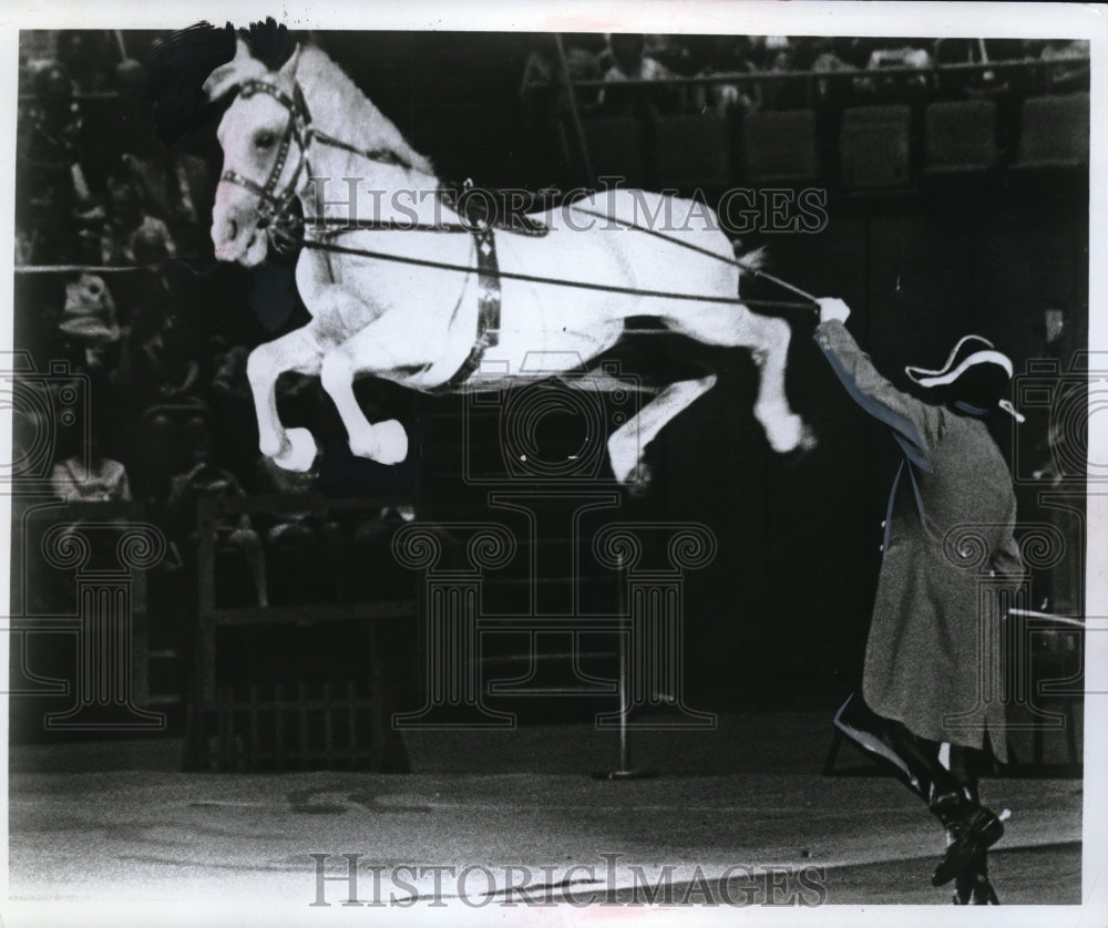 Press Photo World Famous Lipizzan Horses - nes13396 - Historic Images