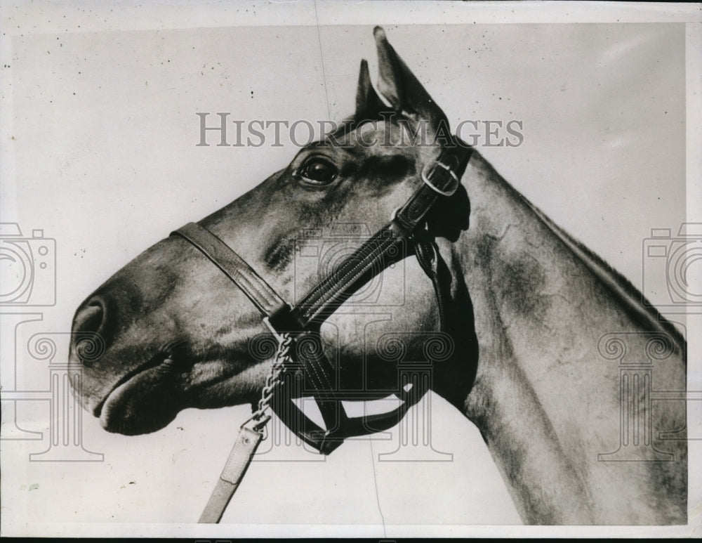 1935 Press Photo Azucar Will Try To Repeat Winning - nes13484 - Historic Images