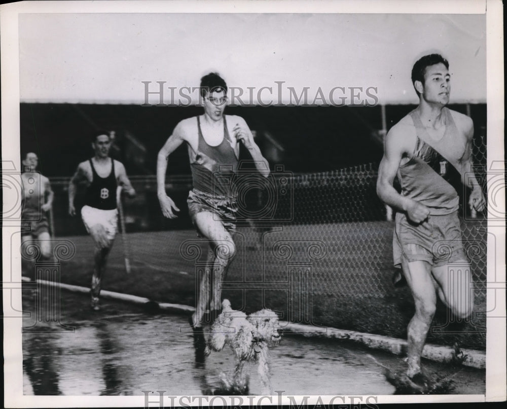 1953 Press Photo Daring Dog Competes In Illinois High School Track Race - Historic Images