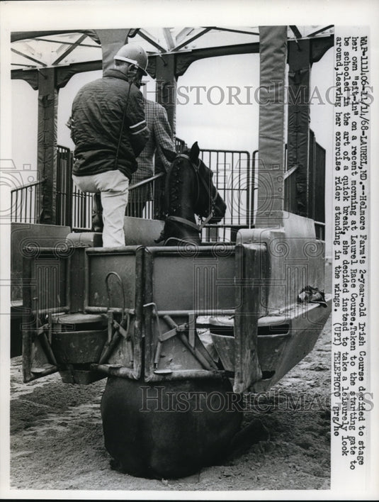 1968 Press Photo Helmore Farm's "Irish Course sat-in at the Laurel Race Course. - Historic Images