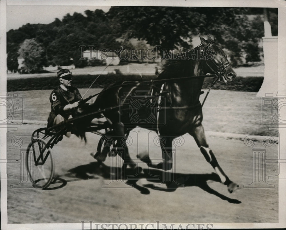 1933 Press Photo J.C. Thompson&#39;s STURDY wins Bay State Circuit Trotting Race - Historic Images