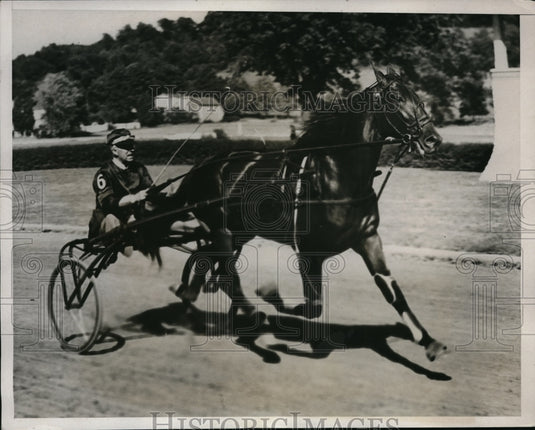 1933 Press Photo J.C. Thompson's STURDY wins Bay State Circuit Trotting Race - Historic Images