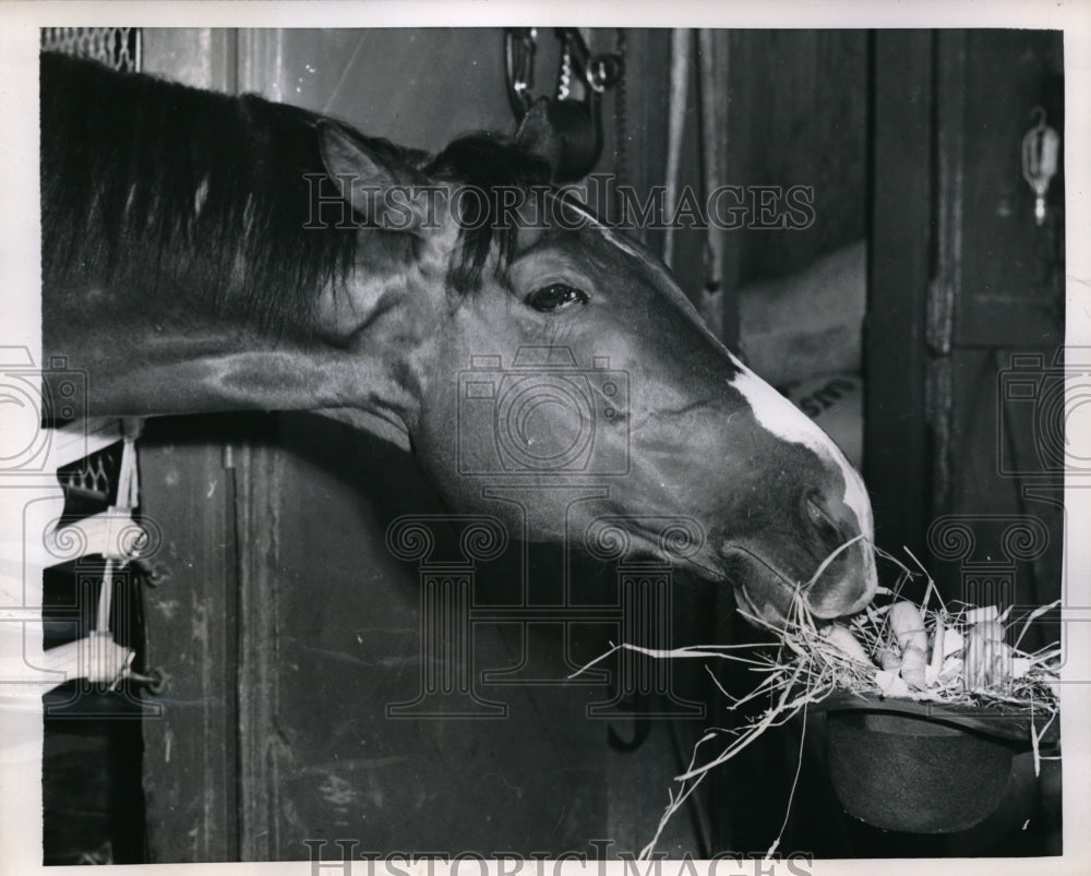 1952 Press Photo Hialeah, Fla Derby entrant Primate - nes15511 - Historic Images