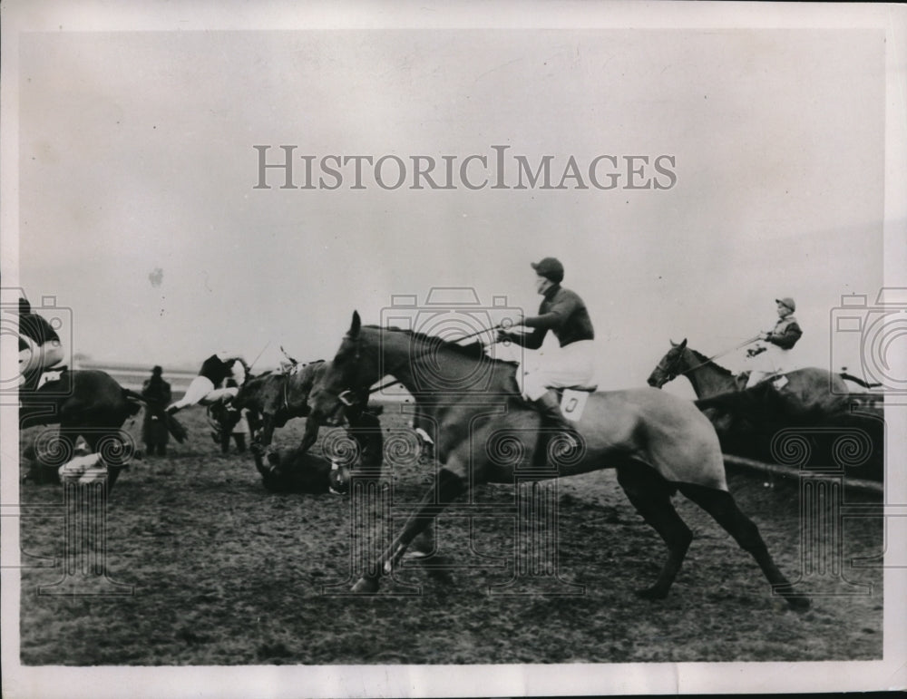 1936 Press Photo Cranford Handicap Steeplechase Provocative &amp; Lester Boy downed - Historic Images