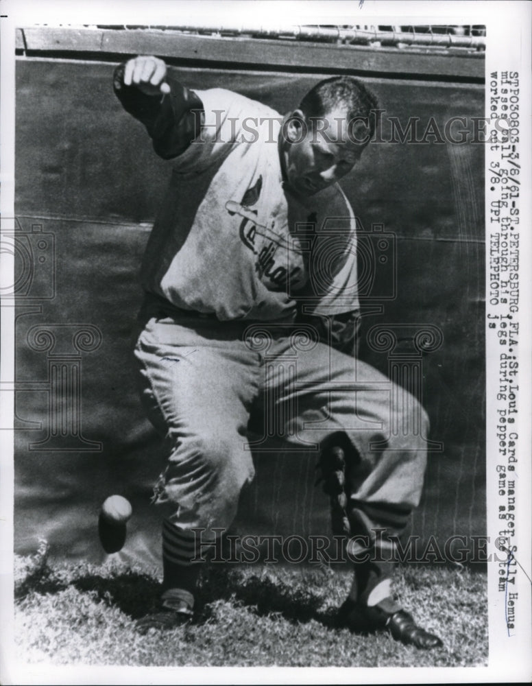 1961 Press Photo Cardinals manager Solly Hemus at spring training in Fla - Historic Images