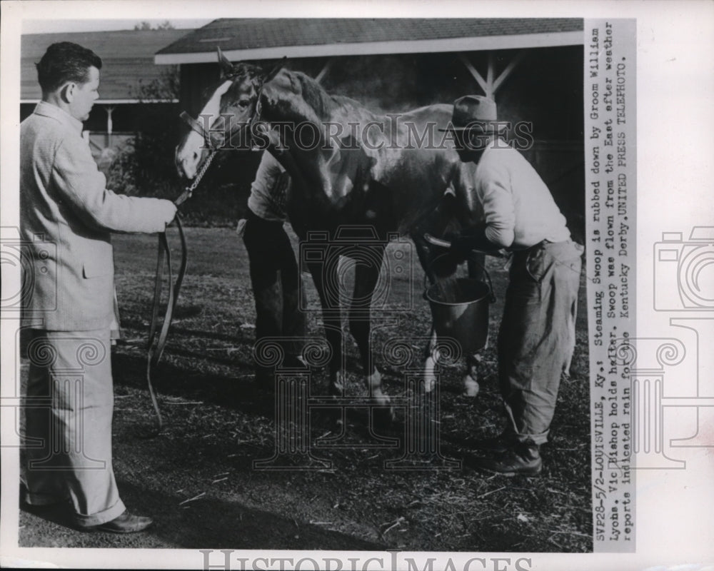 1952 Press Photo Louisville Ky Steaming Swoop is rubbed down by groom - Historic Images