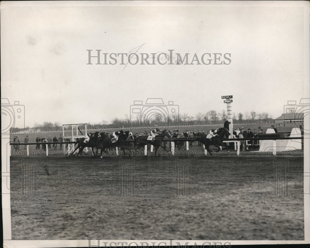 1932 Press Photo Chief&#39;s Troubador, Lucky Jack, and Red Face at Jamaica Park - Historic Images