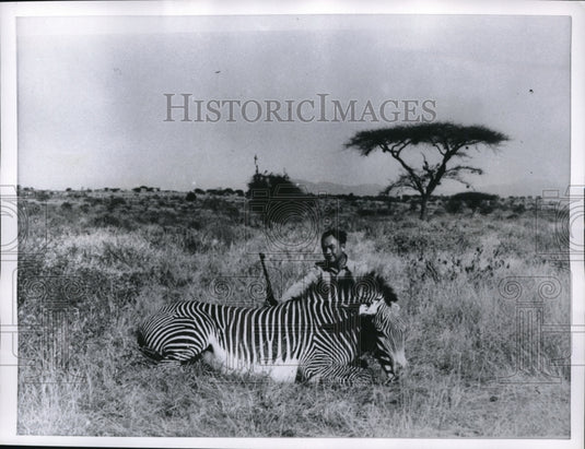 1959 Press Photo Maurice H Stans & zebra he hunted in Africa - nes20217 - Historic Images