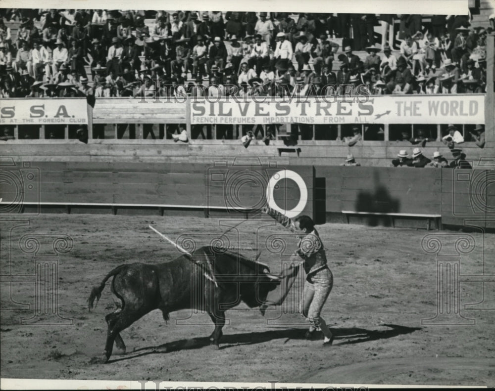 1938 Press Photo Matador giving a bull the final death thrust - nes20262 - Historic Images
