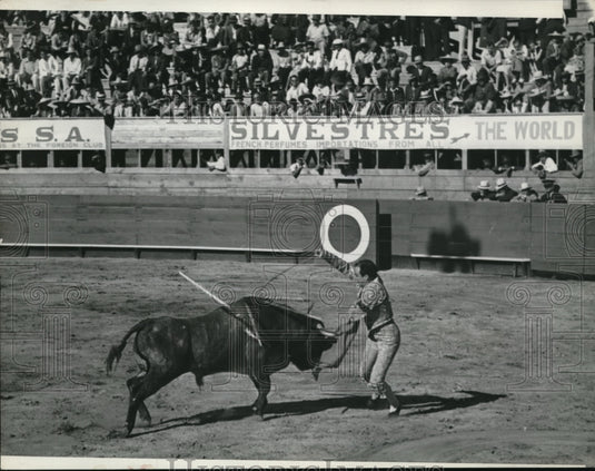 1938 Press Photo Matador giving a bull the final death thrust - nes20262 - Historic Images