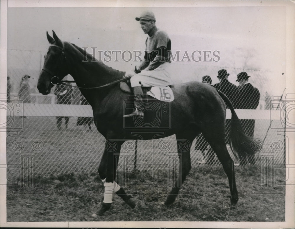 1937 Press Photo Alexena in Grand National at Aintree in England - nes20526 - Historic Images