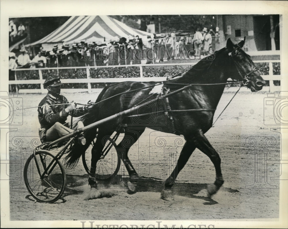 1934 Press Photo Brown Berry with Fred Egan at Hambeltonian Stake race in NY - Historic Images