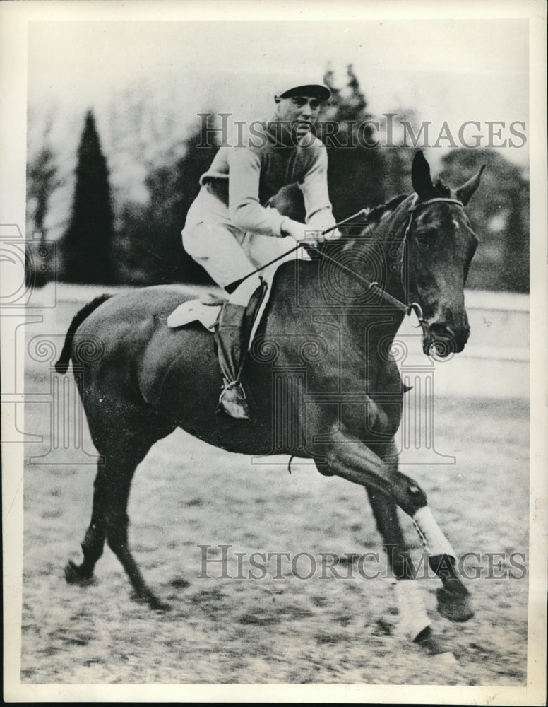 1934 Press Photo Really True candidate for Grand National race at Aintree - Historic Images