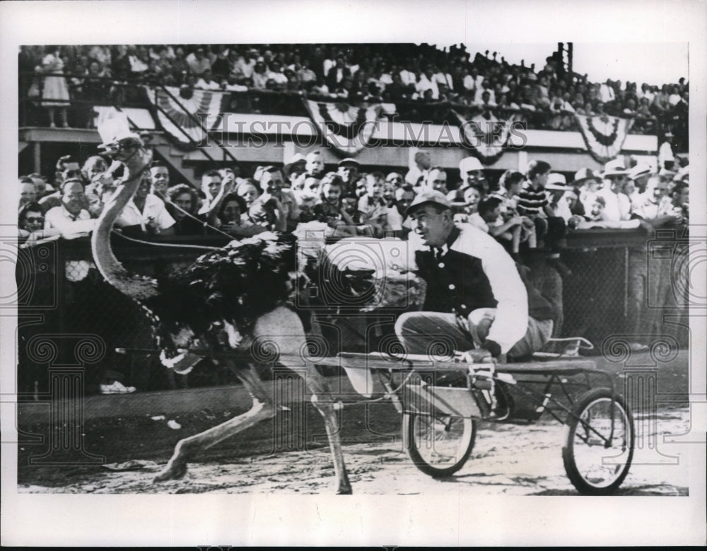 1953 Press Photo Louisville KY Gov Lawrence Wetherby in ostrich race - nes22258 - Historic Images