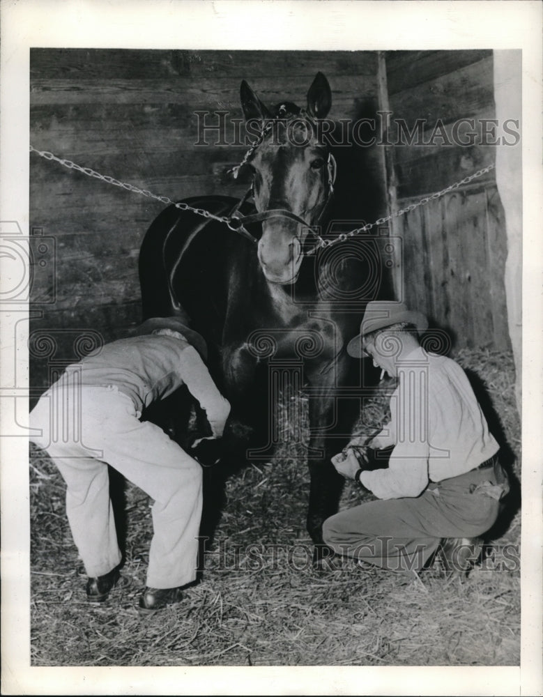 1945 Press Photo Gishen NY Titan Hanover with trainers for Hambeltonian race - Historic Images