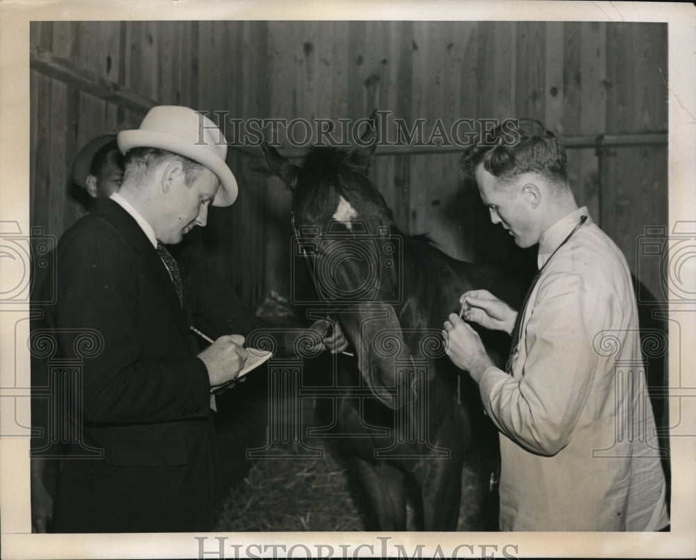 1939 Press Photo Horses at Hialeah Park receive physical examinations - Historic Images