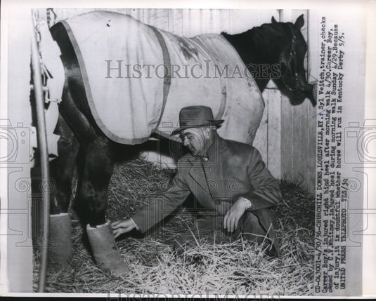 1956 Press Photo Trainer Syl Veitch checks with Career Boy's injured hind heel - Historic Images