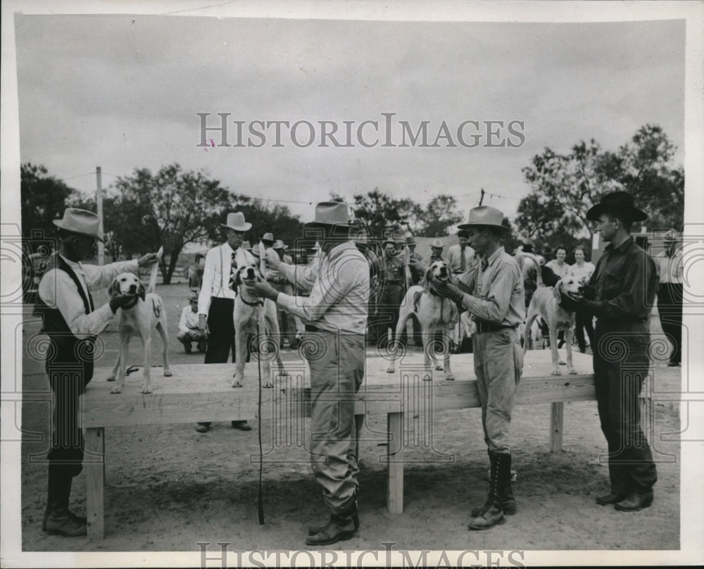 1937 Press Photo Cabellton texas Dog handlers with Judge JT Harris - nes25344 - Historic Images
