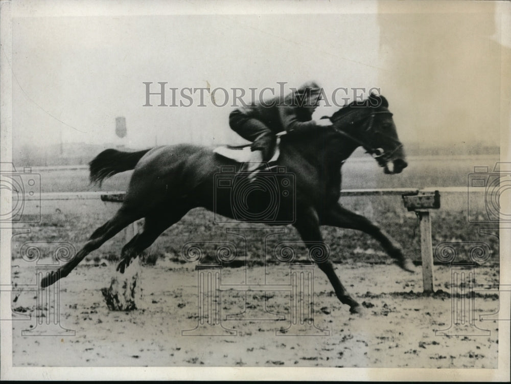 1932 Press Photo Horse Cathop candidate for Kentucky Derby - nes27217 - Historic Images