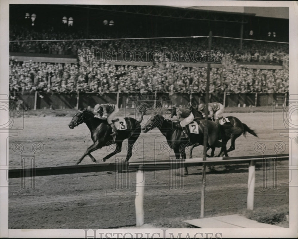 1937 Press Photo Jamaica racetrack NY Veiled Lady, Inactive &amp; Peaceful- Historic Images