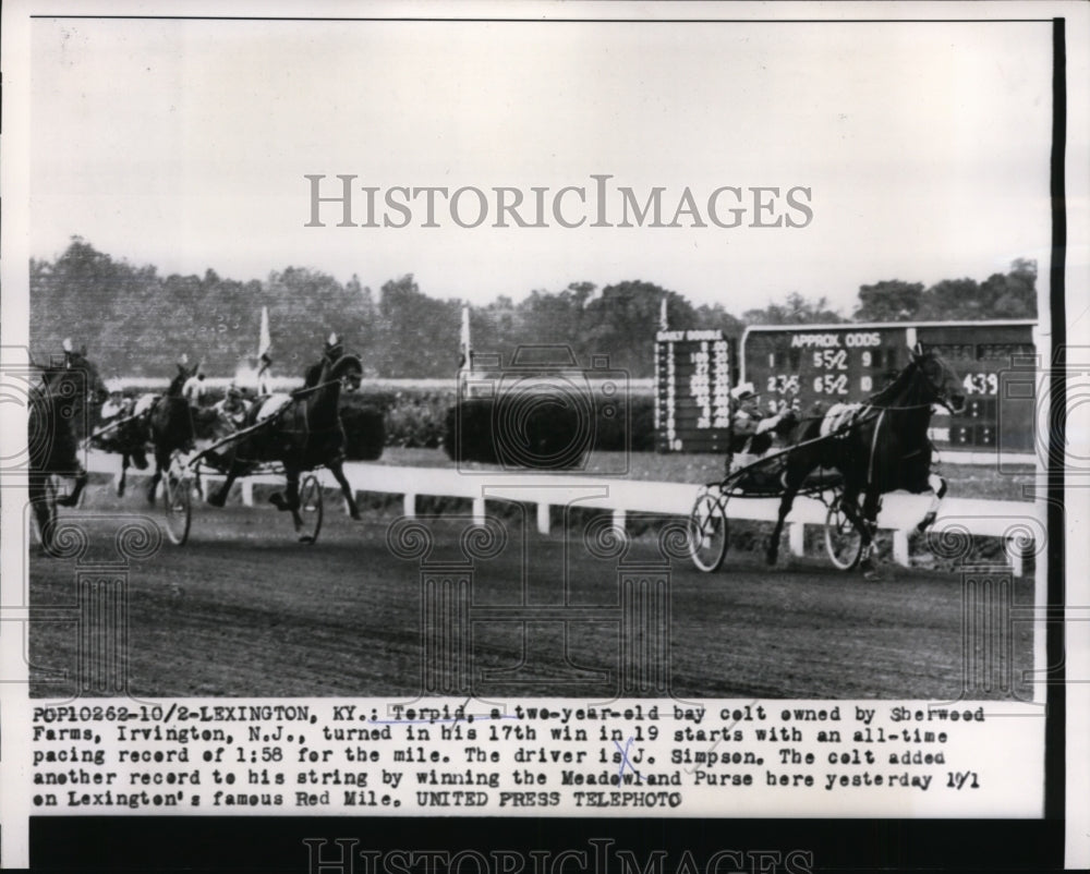 1956 Press Photo Lexington Ky Torpid wins pacing race driver J Simpson- Historic Images