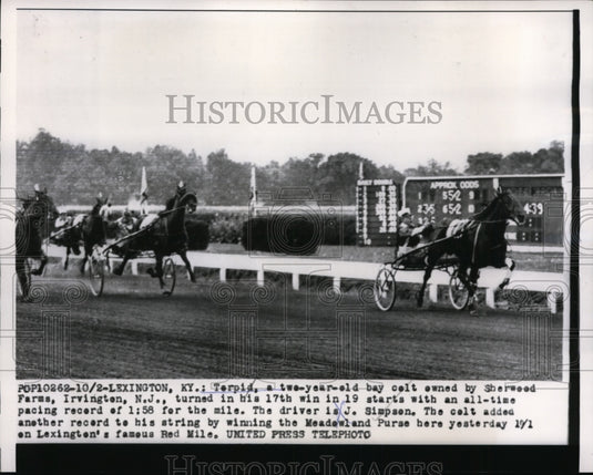 1956 Press Photo Lexington Ky Torpid wins pacing race driver J Simpson- Historic Images