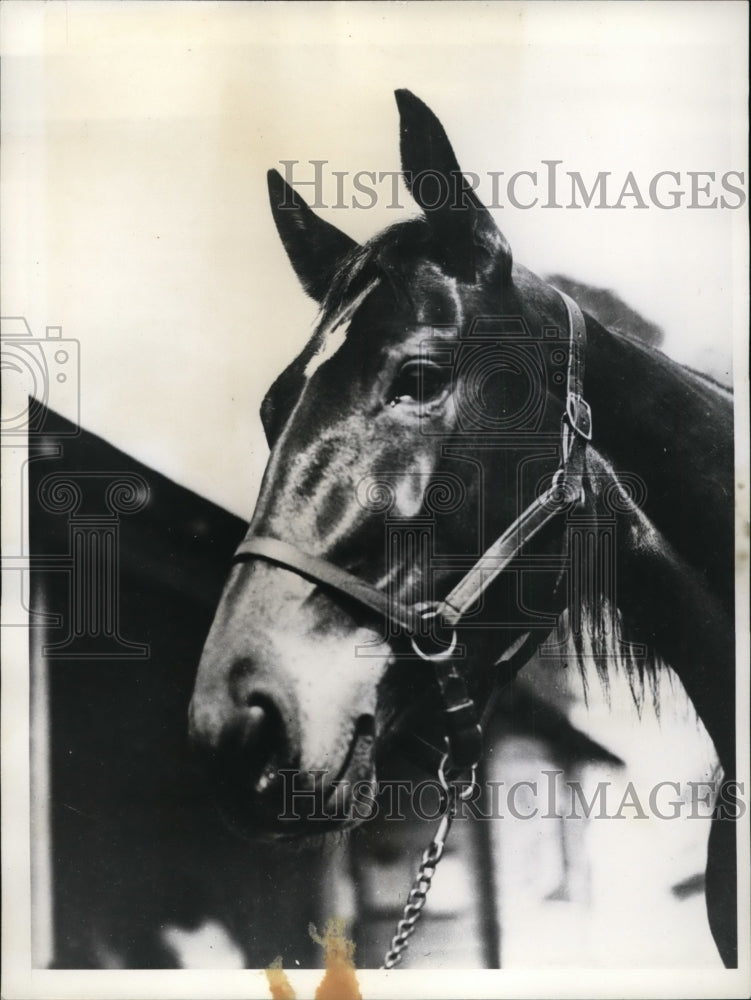 1935 Press Photo Gayletta to run in Hambletonian Stakes in Goshen NY - nes28521- Historic Images