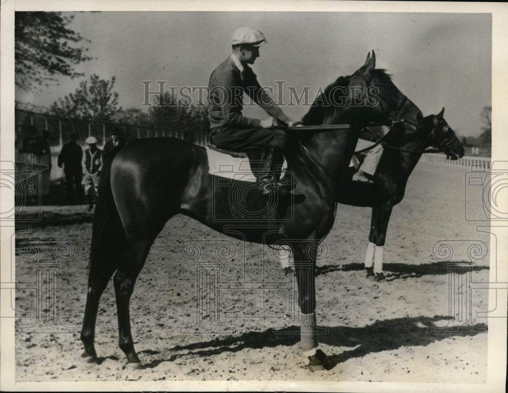 1939 Press Photo Louisville Ky American Byrd owned by WH Whitehouse - nes33491- Historic Images