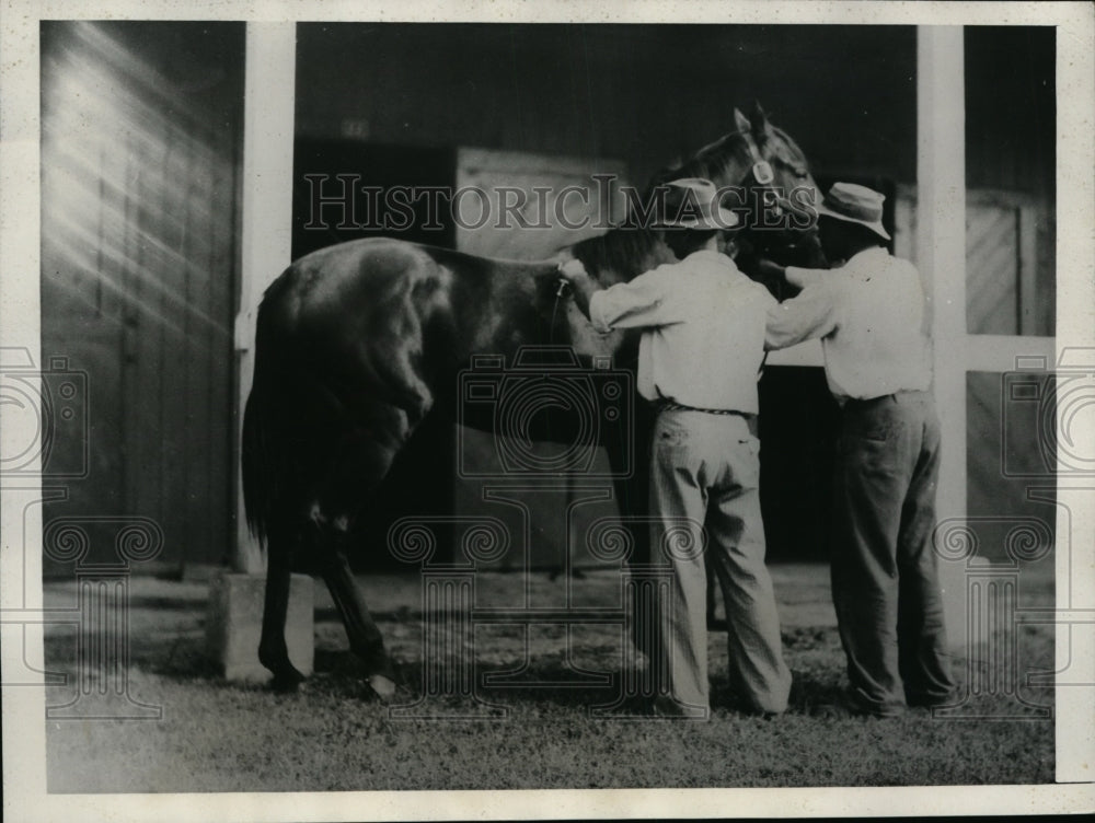 1932 Press Photo Horse Pari Mutuel arrives at Hialeah Park in Miami Florida - Historic Images