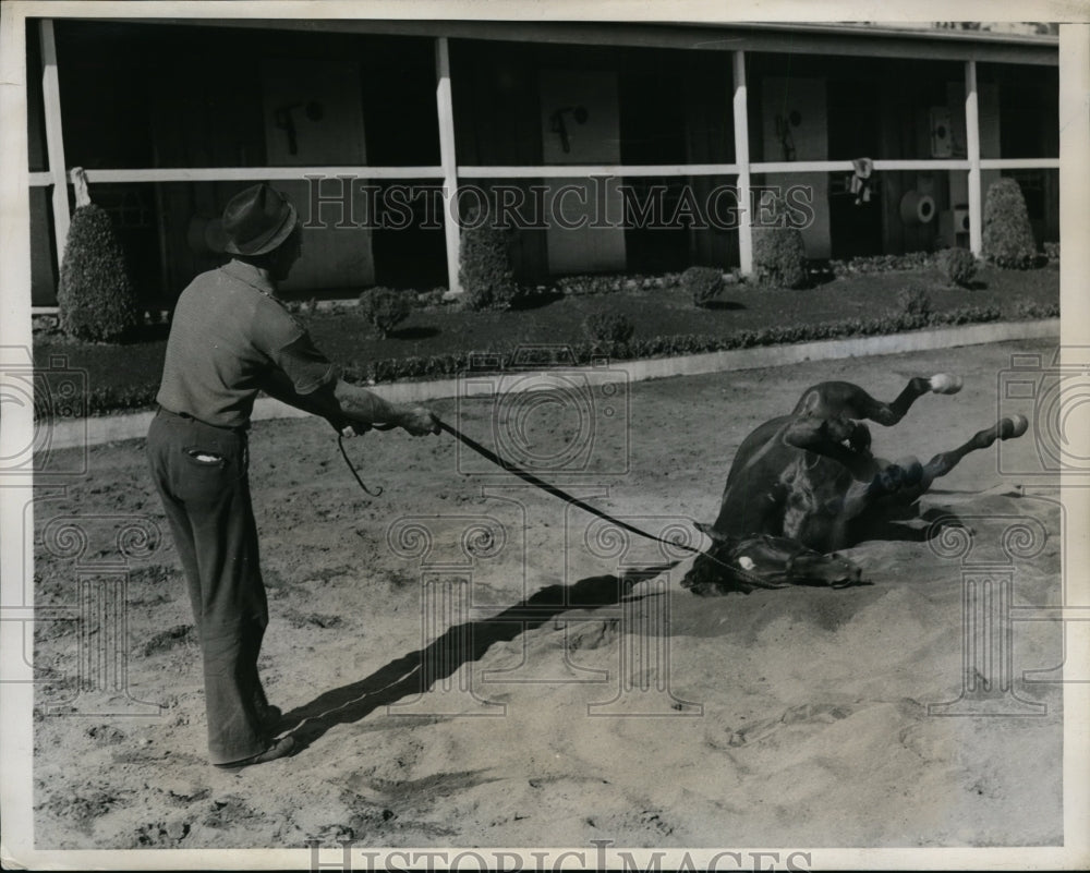 1938 Press Photo Porter&#39;s Mite at workout at Santa Anita race track in CA- Historic Images