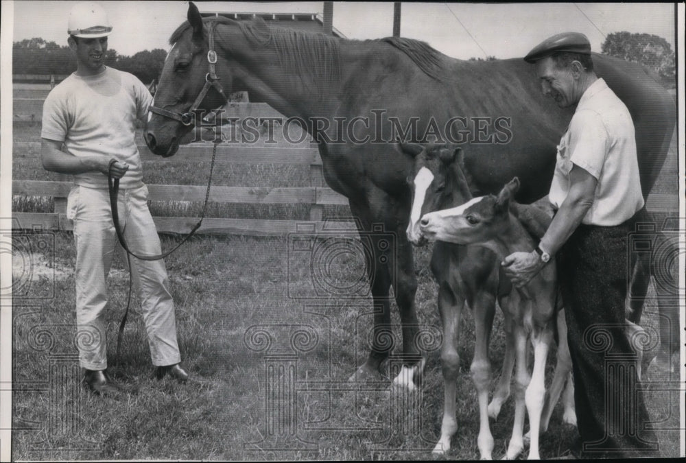 1963 Press Photo Horse Laurel, trainer Ed Lotze & twin foals at T Bullitt estate- Historic Images