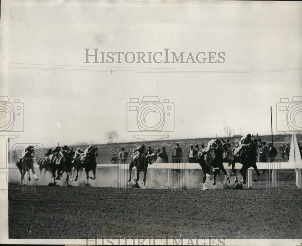 1932 Press Photo Sportsmens Park Chicago ILL Tennywood, Bay Leaf, Buzzy Boo- Historic Images