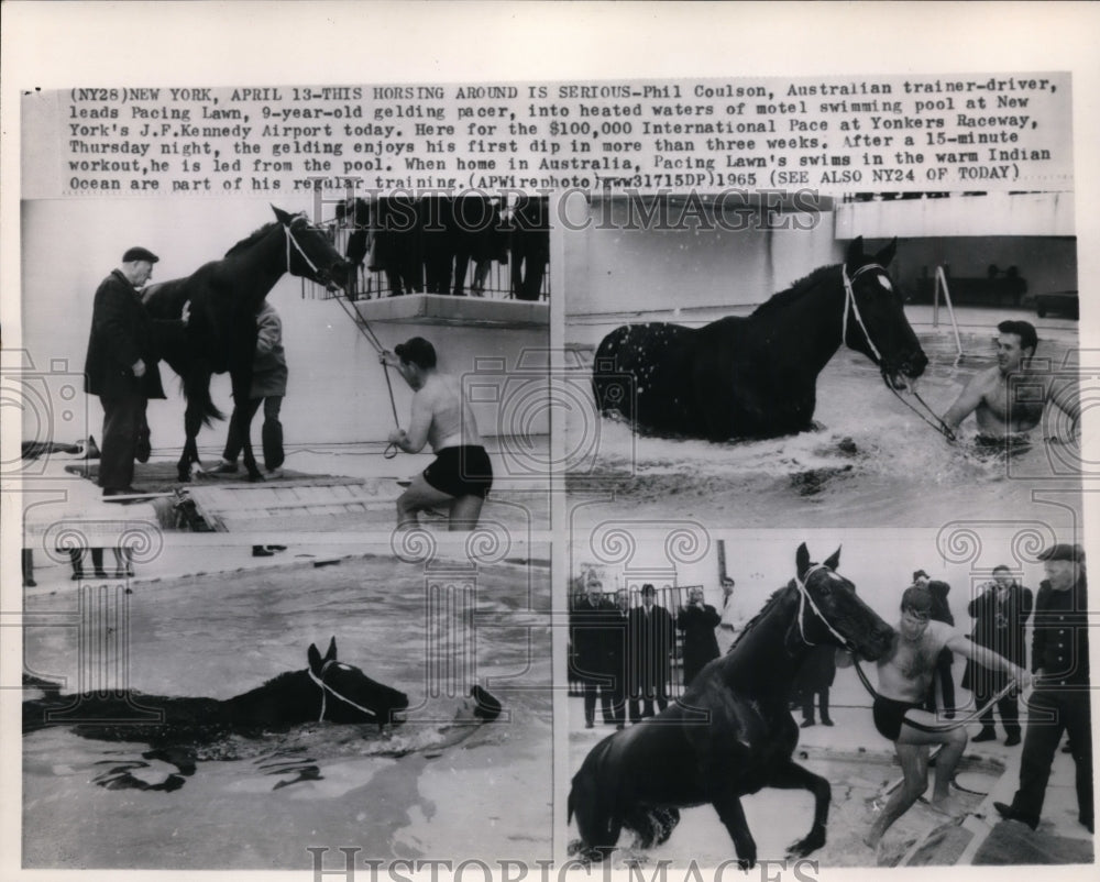 1965 Press Photo Phil Coulson trainer &amp; Pacing Lawn at Yonkers Raceway NY- Historic Images