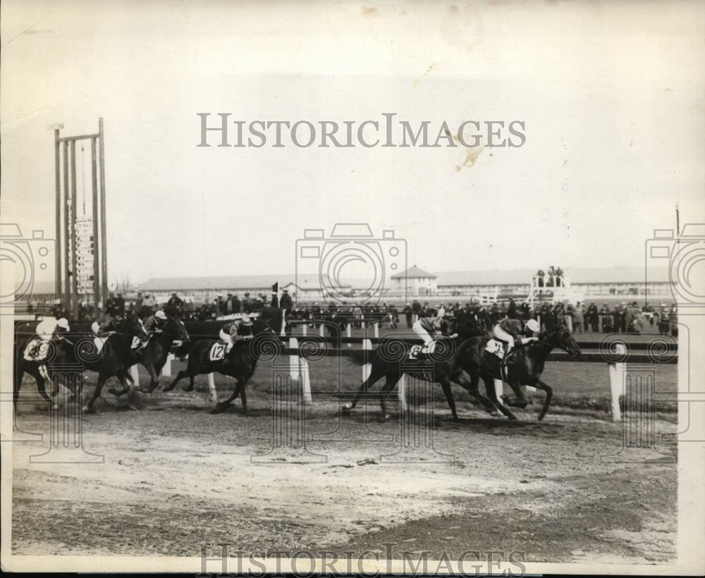 1928 Press Photo Aqueduct NY racetrack Take Ypur Time wins the race - nes46278- Historic Images