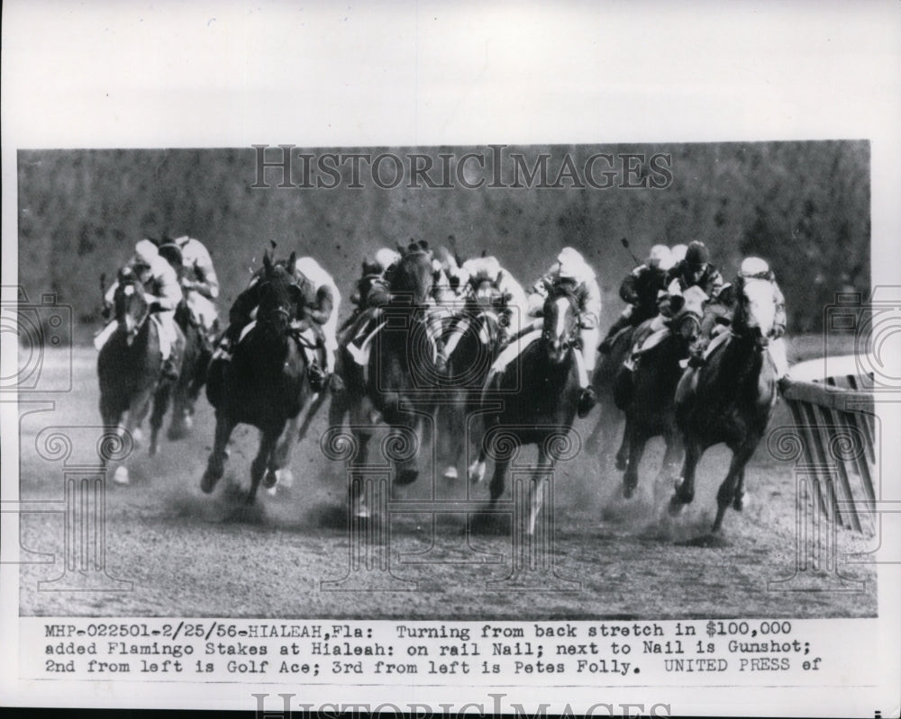 1956 Press Photo Flamingo Stakes at Hialeah track Rail Nail, Gunshot, Golf Ace- Historic Images