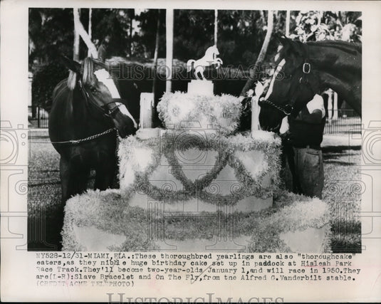 1950 Press Photo Miami Florida Hialeah track Slave Bracelet & On The Fly - Historic Images