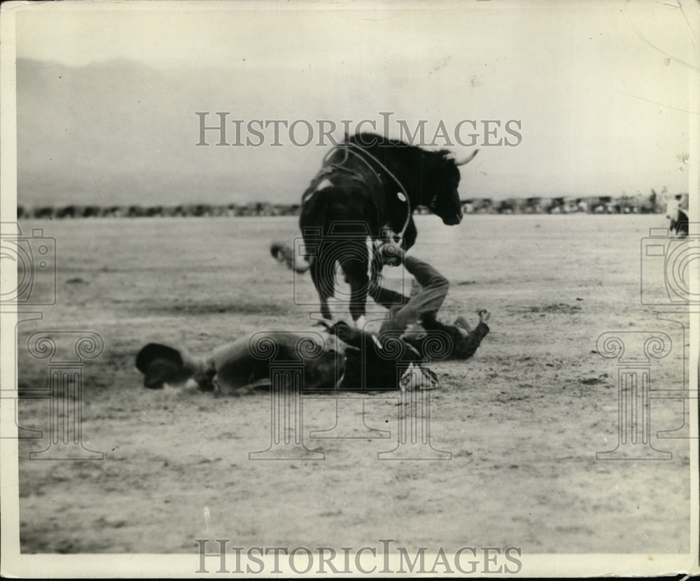 1932 Press Photo Mid Winter rodeo in Tuscon Arizona Bauback in steer riding - Historic Images