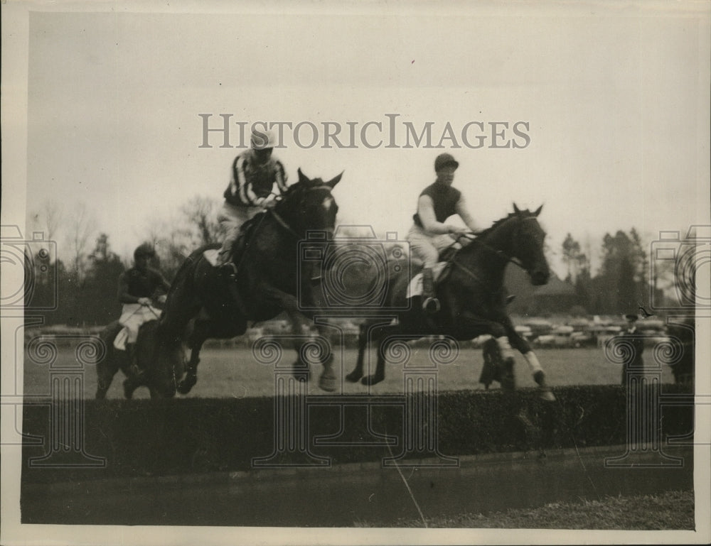 1932 Press Photo Grand National horses Drintype and Sir Lindsay at Lingfield - Historic Images