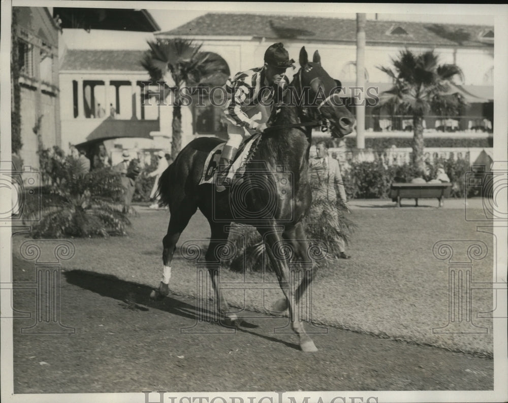 1933 Press Photo The Pelican finished in third during fourth race, Hialeah Park - Historic Images