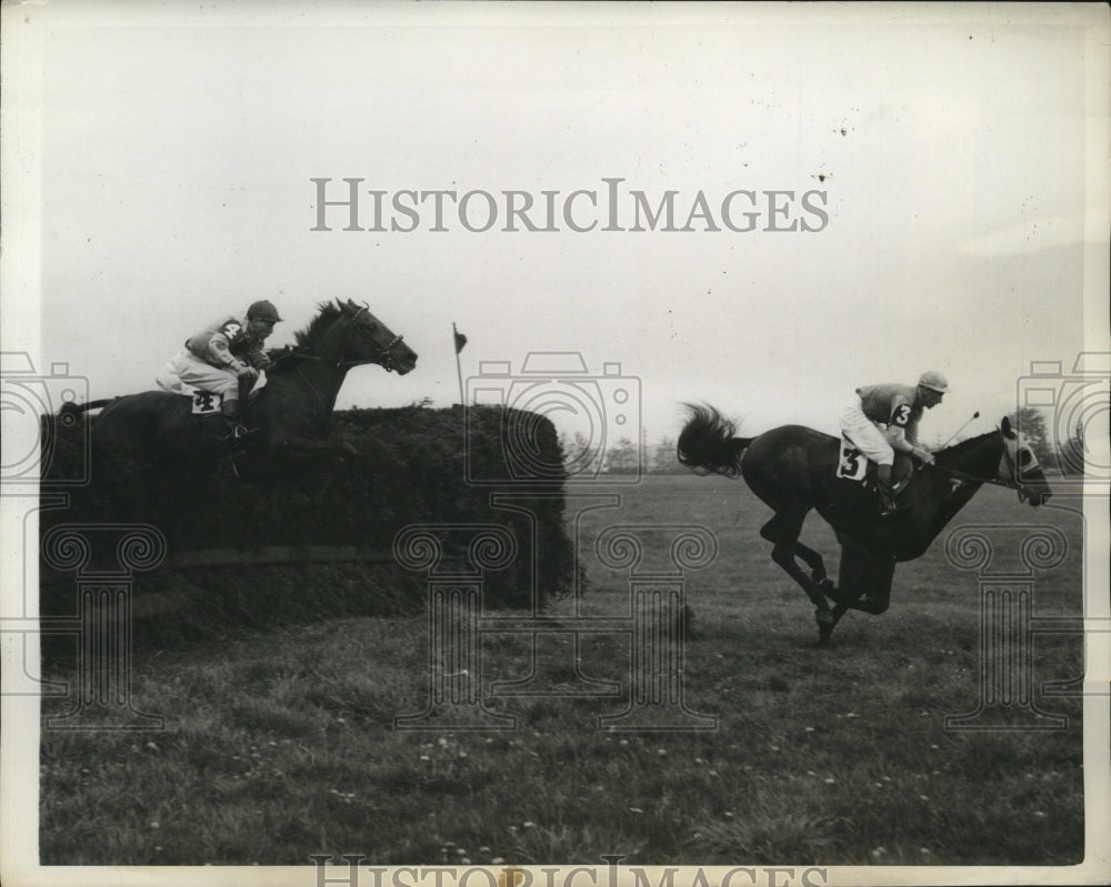 1943 Press Photo Hollo wins the third steeplechase race of the day, Belmont Park - Historic Images