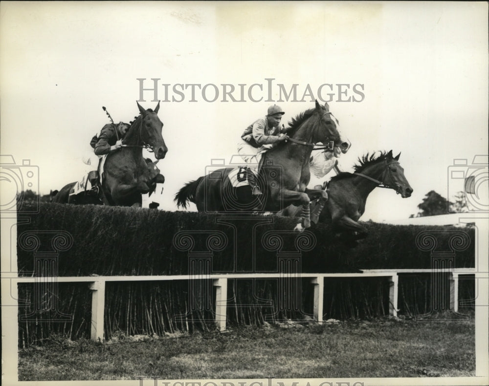 1936 Press Photo Plain Peggy wins George Work Memorial at Cedarhurst Long Island - Historic Images