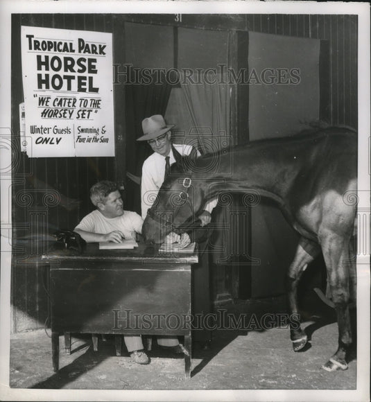 1953 Press Photo Tropical Park Horse Hotel clerk Sid Bulcroft & "Velvet Express" - Historic Images