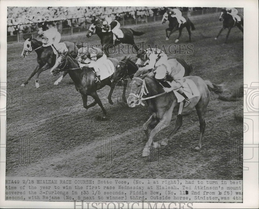 1953 Press Photo Hialeah Florida Sotto Voce wins vs Fiddle Bow, Rejane- Historic Images