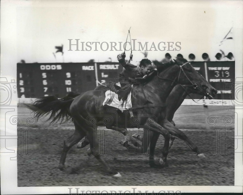 1947 Press Photo Gukfstream Florida race Baby Sis, Little Audrey, Harmony Joe - Historic Images