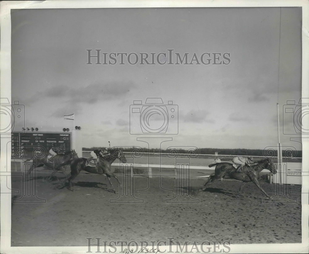 1946 Press Photo Gulfstream Park Fla Do Reigh Miwins vs Reply, Cat Bridge - Historic Images