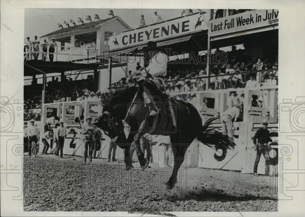 1970 Press Photo Cheyenne&#39;s Frontier Days rodeo cowboy on a bronco - nes54716 - Historic Images